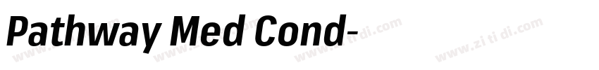 Pathway Med Cond字体转换 Pathway Med Cond字体转换